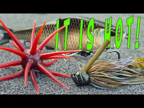 COIKE FULLCAST by SPRO Sports Professionals | Soft Plastic Worms