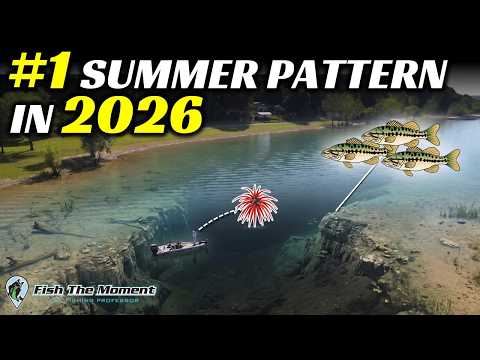 Hideup Coike Fullcast by Southern Indiana Bait Co | Creature Baits
