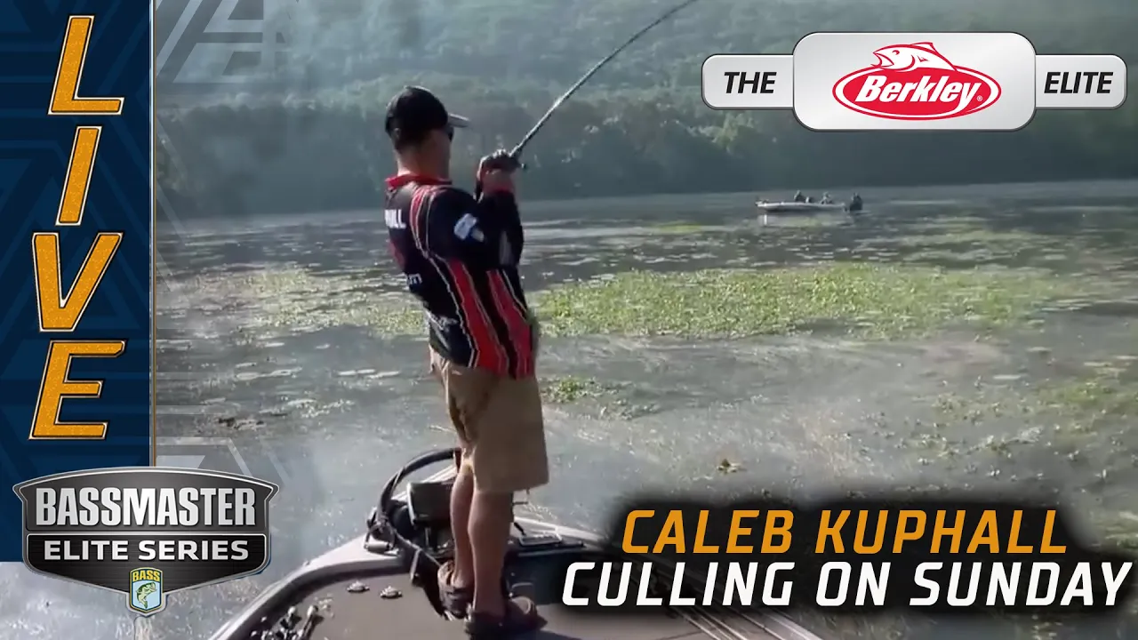 Watch Kuphall is Culling! (FINAL DAY LEADER) Video on