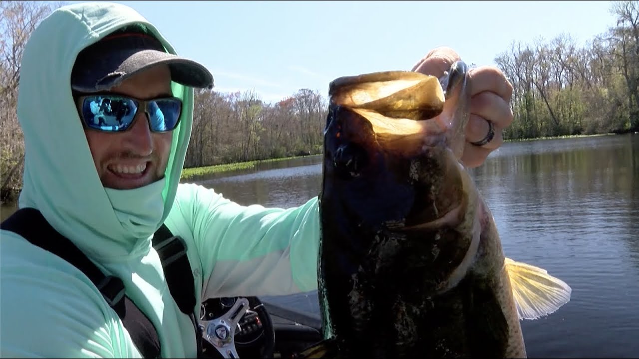 The BEST Finesse Trick For Cold Water Bass!! (Damiki Rig Fishing) —  Tactical Bassin' - Bass Fishing Blog