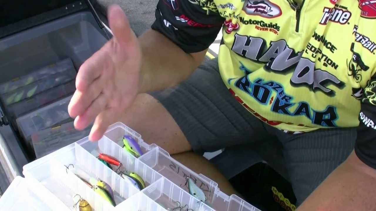 Mopping Up Bass with Paddle Tail Swimbaits - Wired2Fish