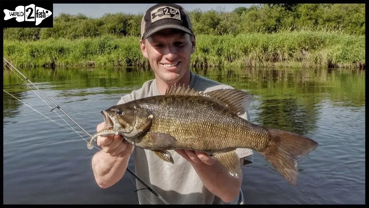 Watch How to Target River Grassline Bass With Swimbaits Video on