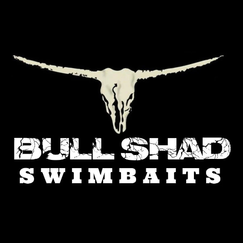 Bull Shad 2Knocker  Bull Shad Swimbaits