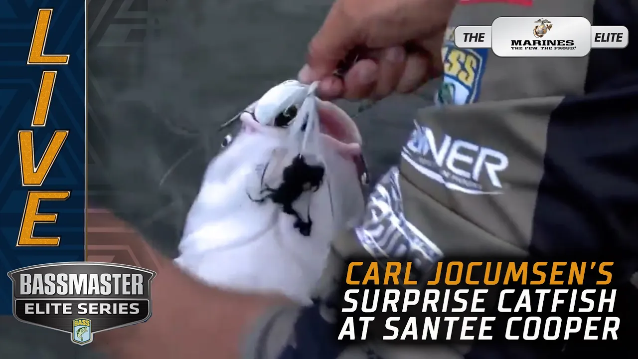 The Catfish Rig - Bassmaster