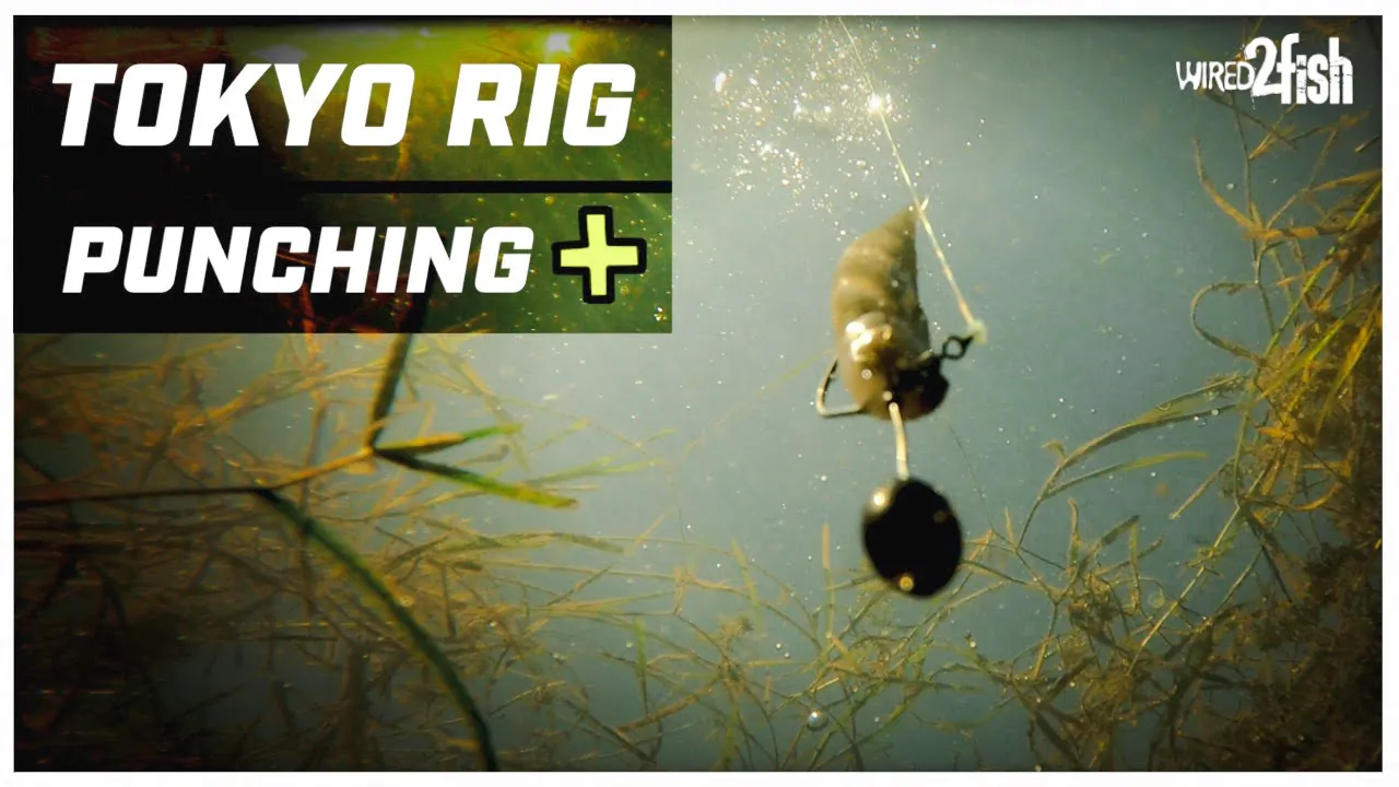 Watch 4 Ways a Tokyo Rig Outperforms a Punch Rig for Bass Video