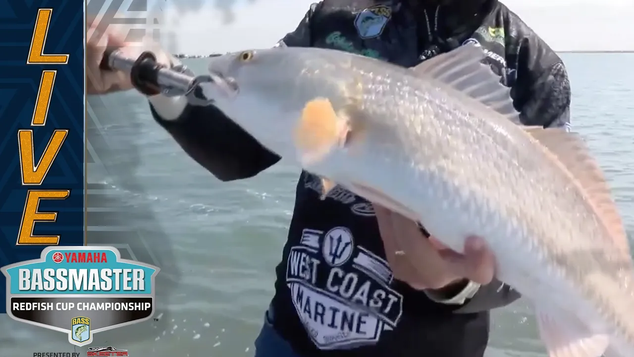 Watch These Baits Catch Fish When The Bite Is Terrible! ( Winter