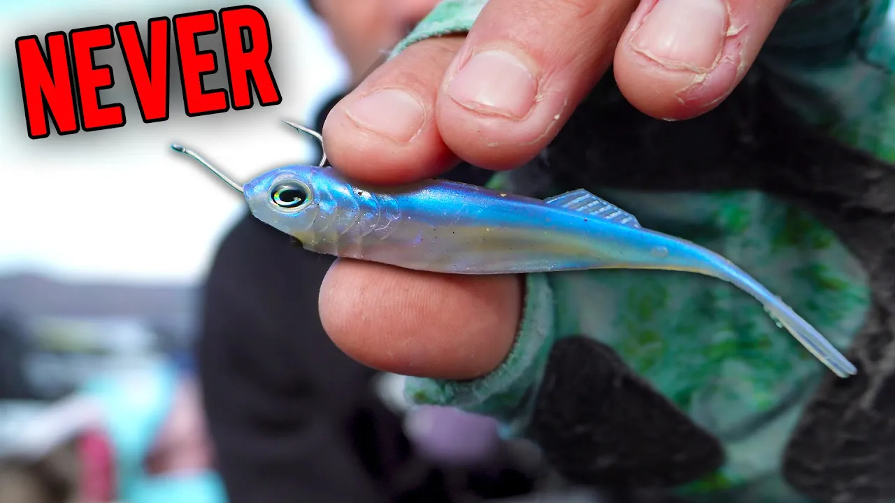 Watch You'll NEVER Fish a small SWIMBAIT the same Again Video on