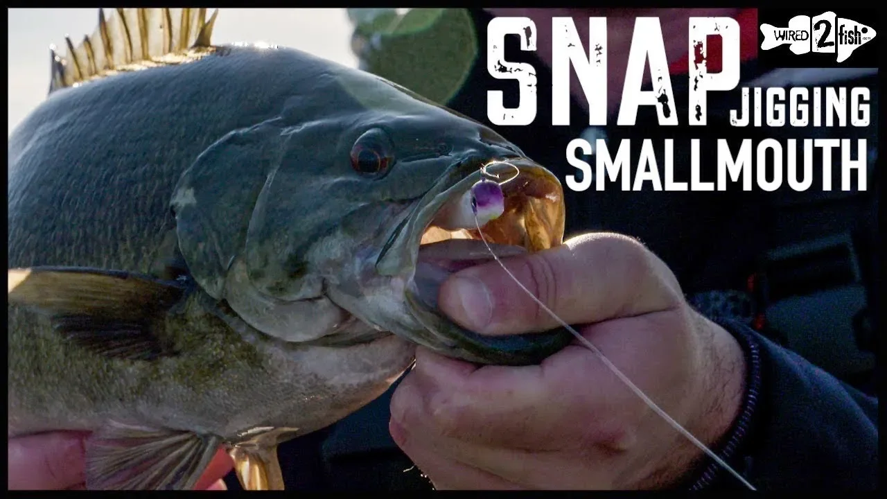 Watch 4 Tips for Snap Jigging Cold Water Bass Video on