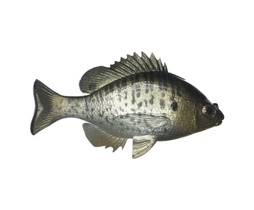 Huddleston Deluxe Bluegill Top Hook Swimbaits