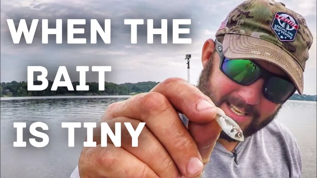 Watch YOU'RE Using The WRONG Size Swimbait HOOKS Video on