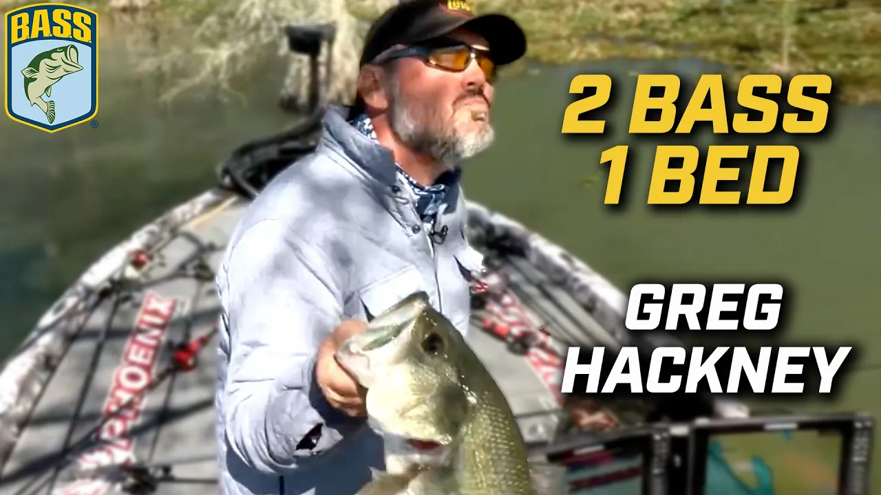 How to Choose Baits to Fish in Grass with Greg Hackney - Wired2Fish