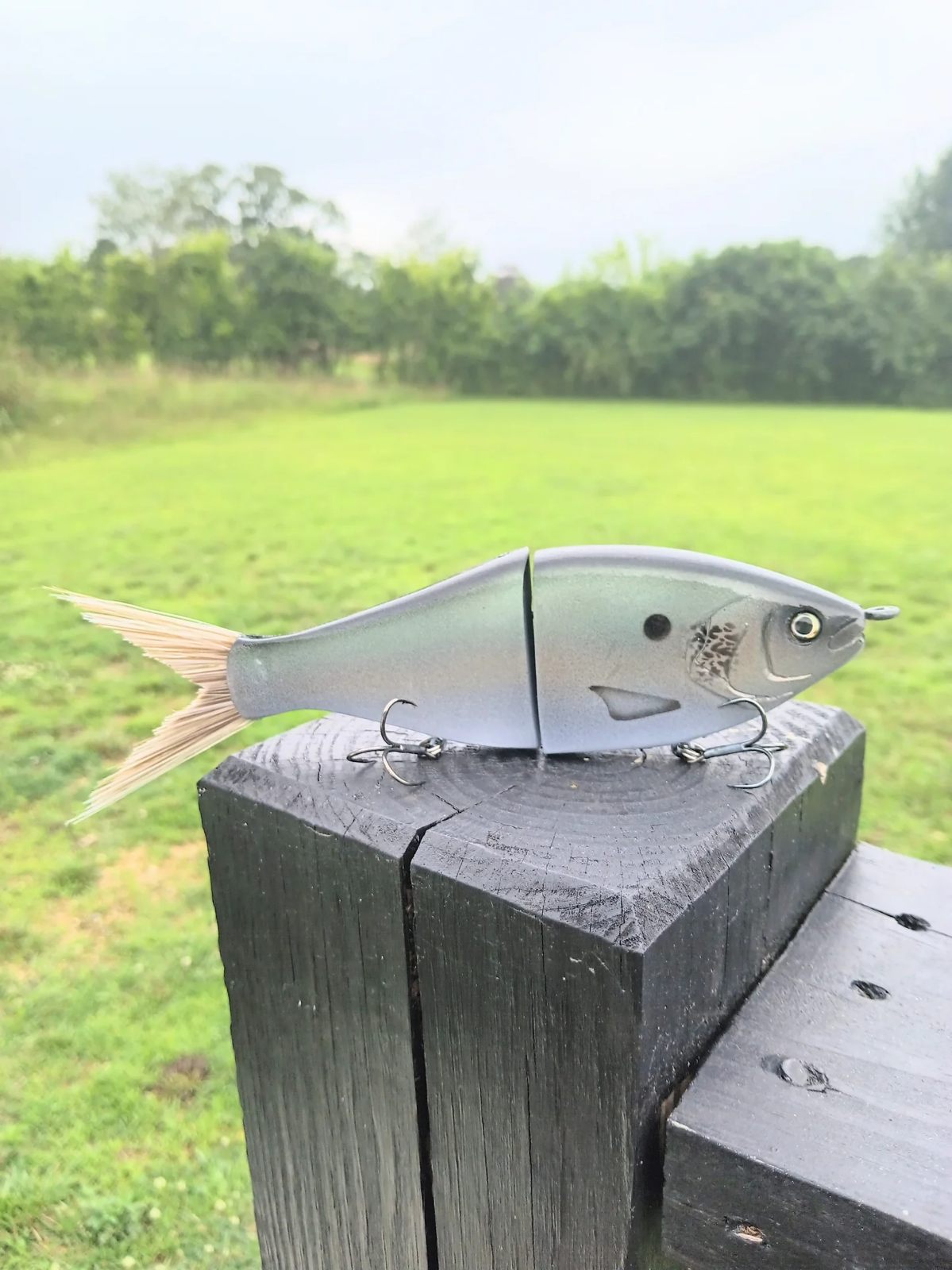 8 Dark Gizzard Shad Handmade Swimbait by Cali Glide Swimbaits - Swimbaits  on