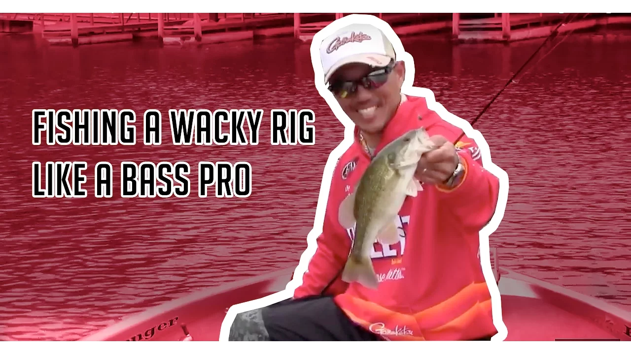 Watch Learn to Fish Wacky Rigs Like a Pro Video on
