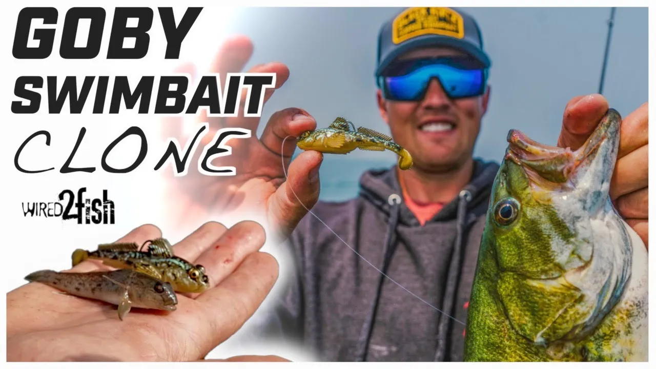 Paddletail Swimbait Tweaks for More Bass - Wired2Fish