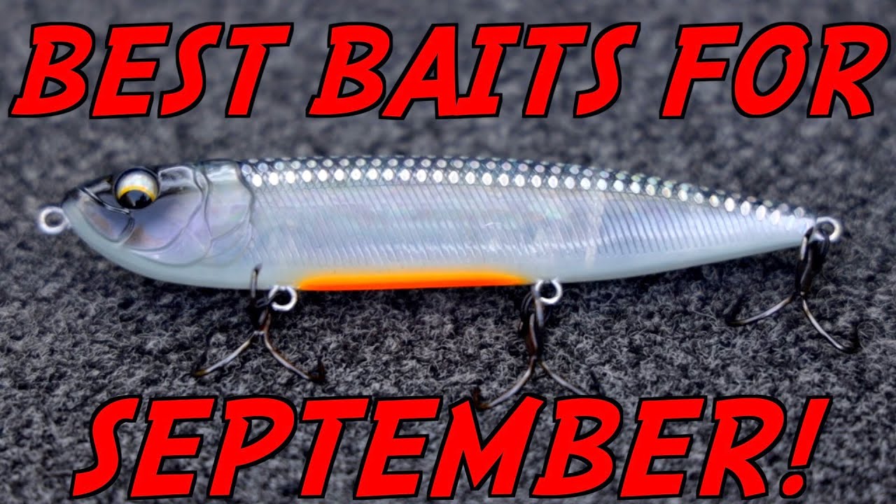 Top 5 Baits for May Bass Fishing! 