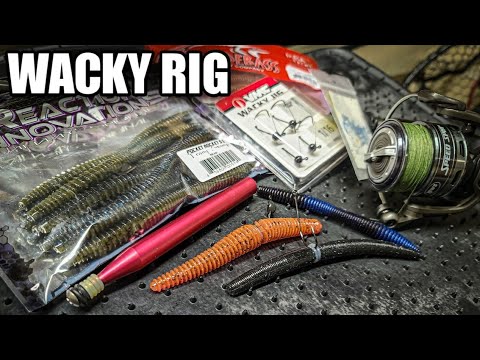 Best Pond Fishing Baits to Use Year Round 