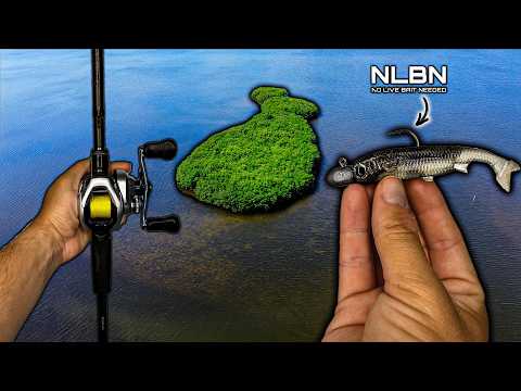 I Fished Secret Florida Islands For 48 Hrs.. (Unchartered) video thumbnail