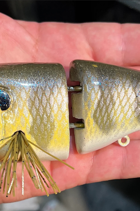 Juke Glide (Blue/Gold Shad) by Toxic Baits - Glide Baits on