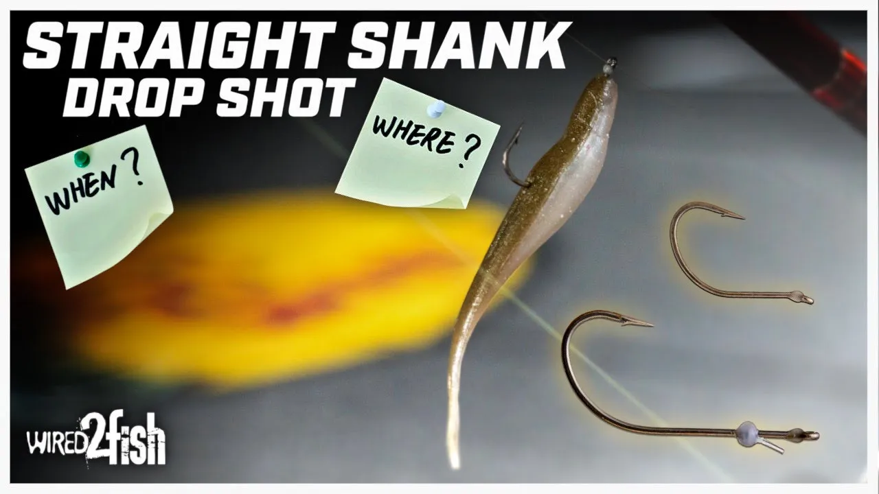 Watch Benefits of Drop Shot Fishing with Straight Shank Hooks Video on ...