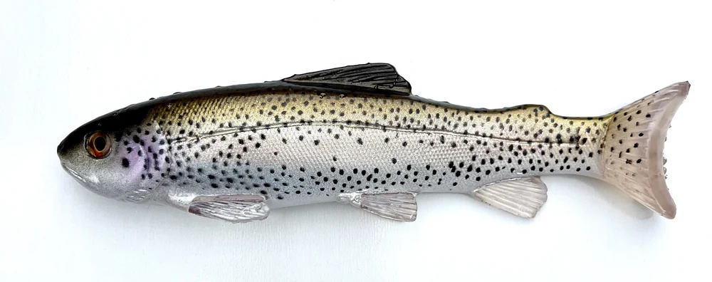 ネイトベイト　Line Through Trout12インチ 12