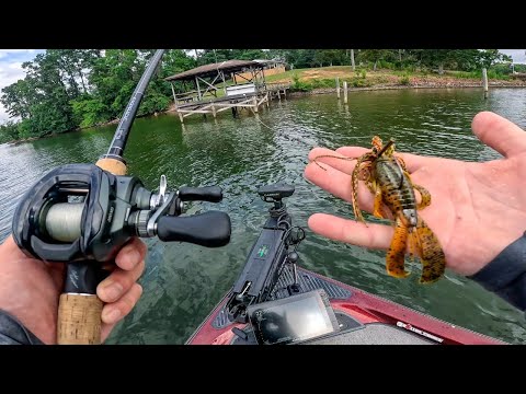 JIGS ALL DAY Leads to Getting PAID || Lake Norman Tournament Fishing (pt1) @hpsfishing