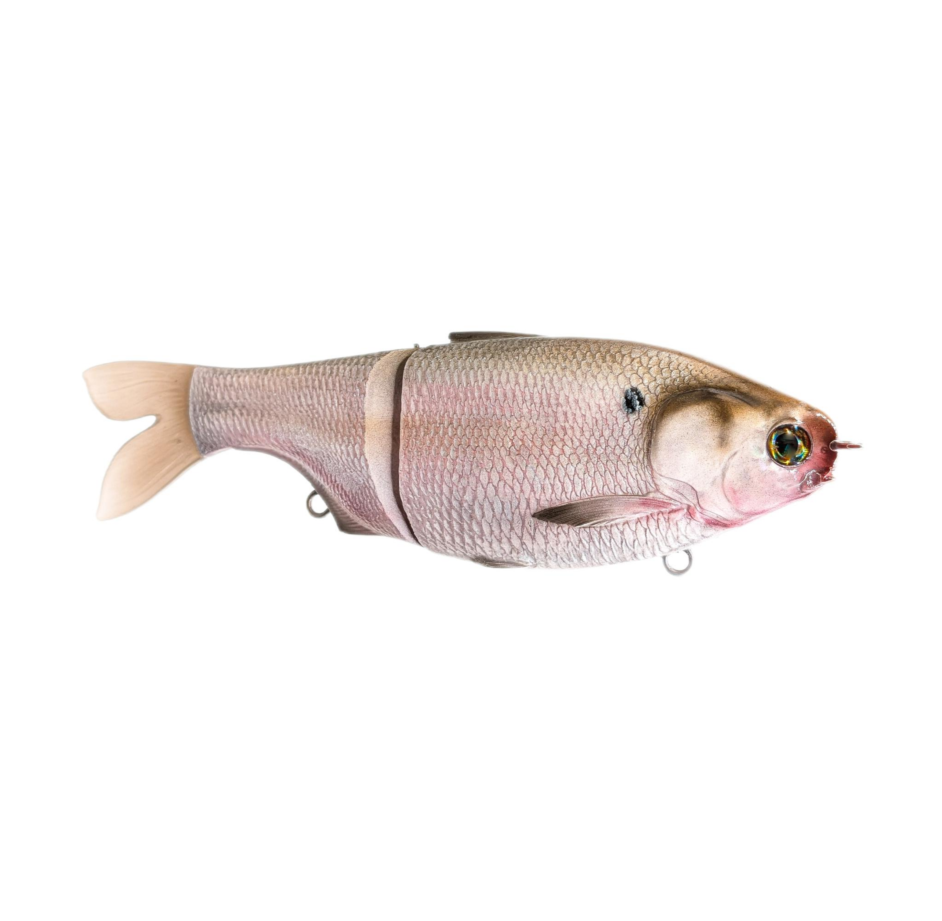 X Glide by Fish 30acre | Glide Baits | Tackle.net