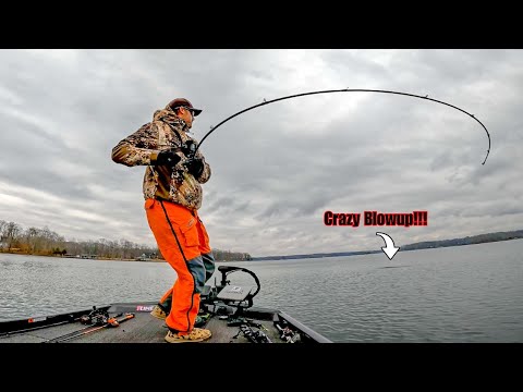 I Found a 70° Degree Oasis in the Middle of Winter...