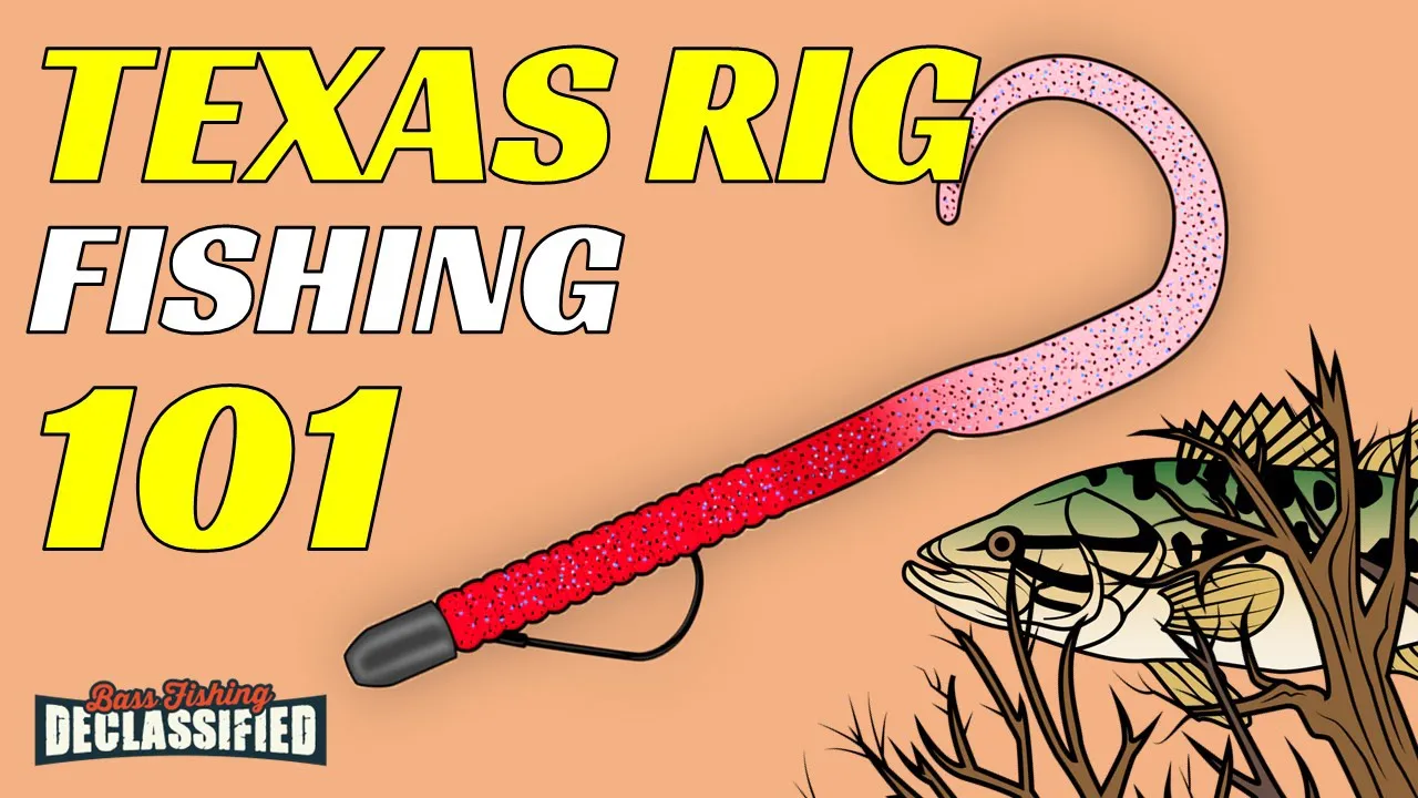 Watch The #1 LURE To Catch Bass - Texas Rig Fishing 101 Video on