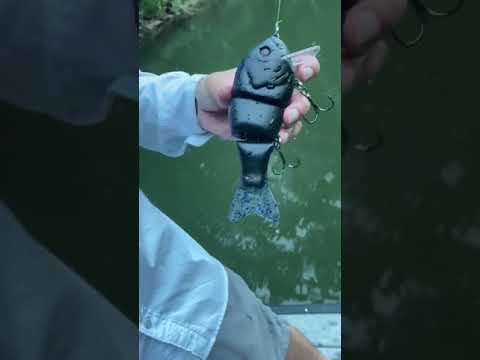 Mini-Trucha Masu “Low Float” (Kokanee) by Toxic Baits | Crankbaits