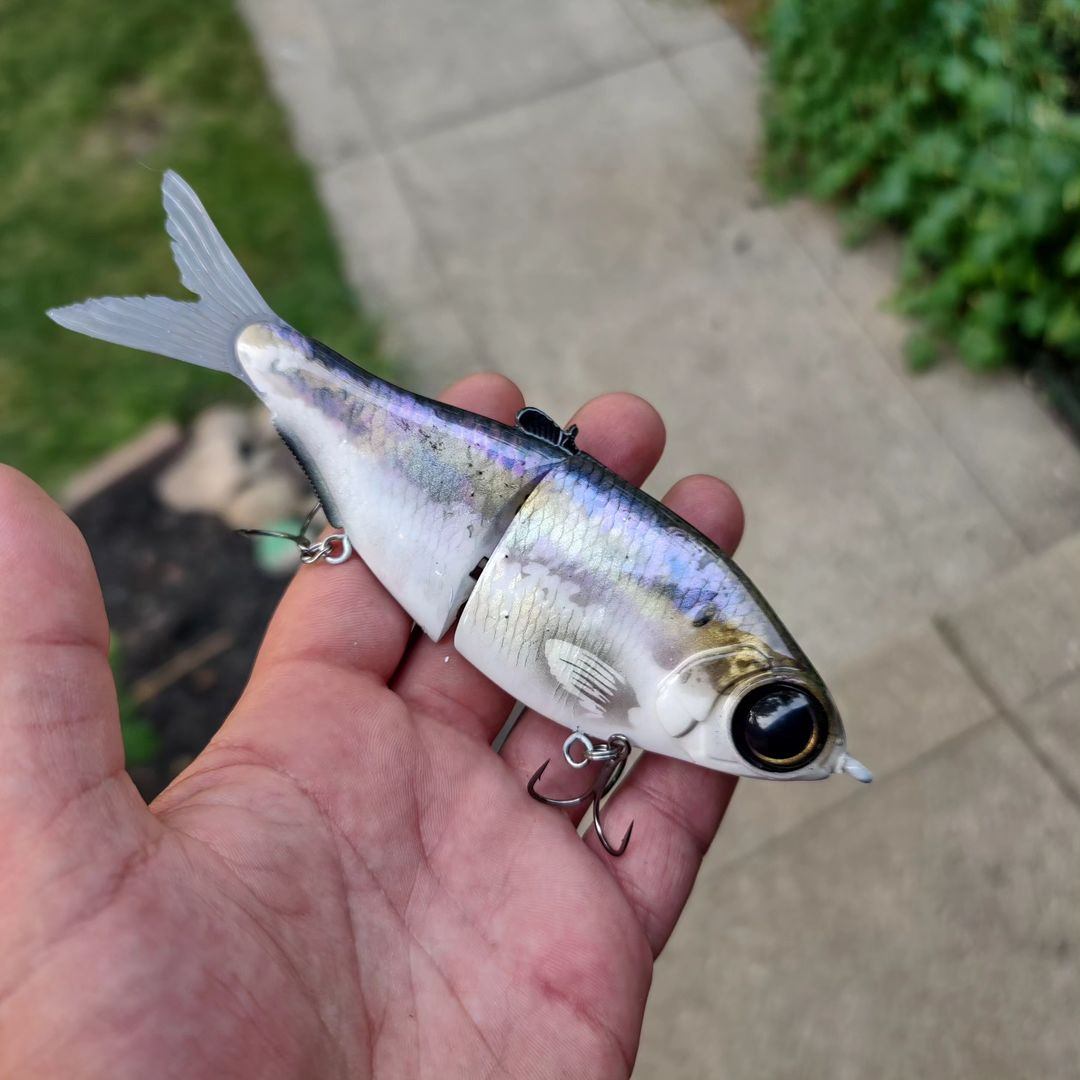 Custom Painted Perch Glide Bait : r/bassfishing