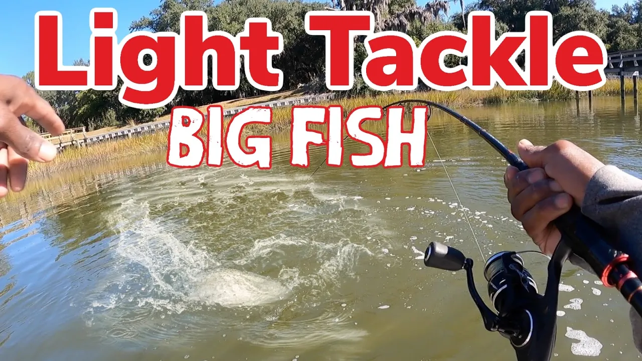 Watch Biggest Fish I've Caught On My Spinning Rod - Video on