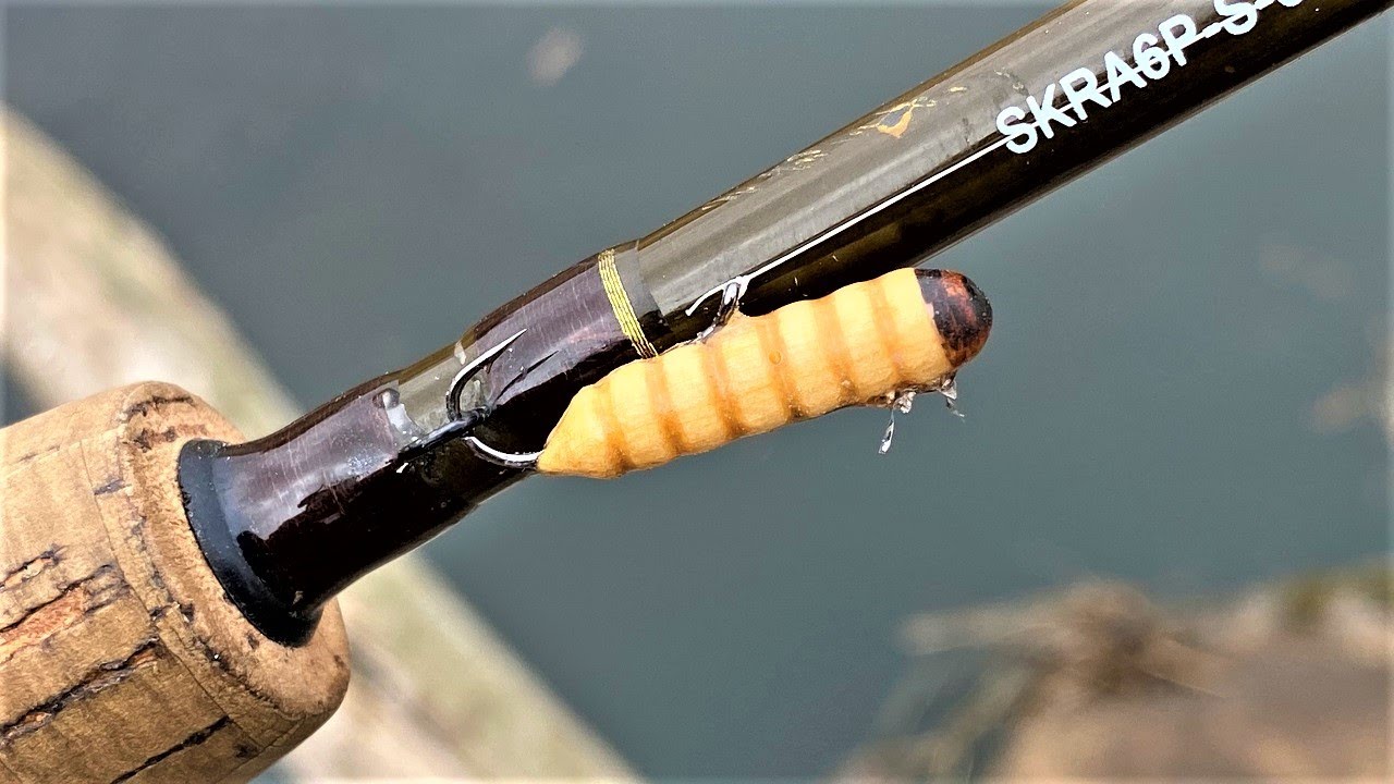 Watch Wax Worm  One Day Build to Catch Micro Fishing Video on