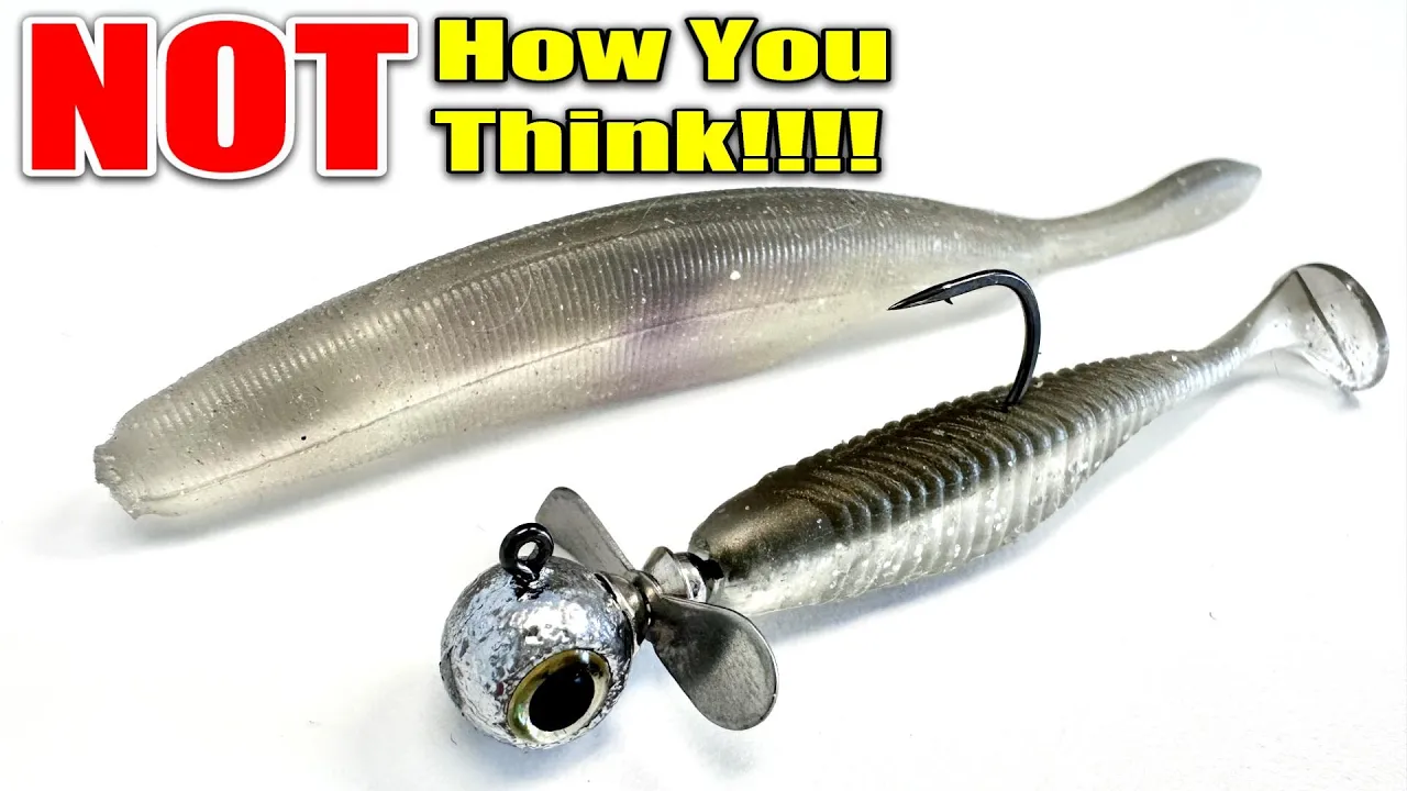 Squid on bait - Fishing for squid with bait - Addict Tackle