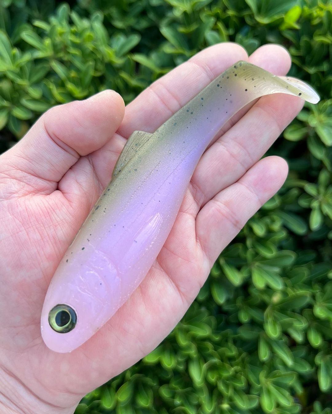 Yunique 6” Weedless Gtrout by Yunique Baits - Soft Swimbaits on Tackle.net