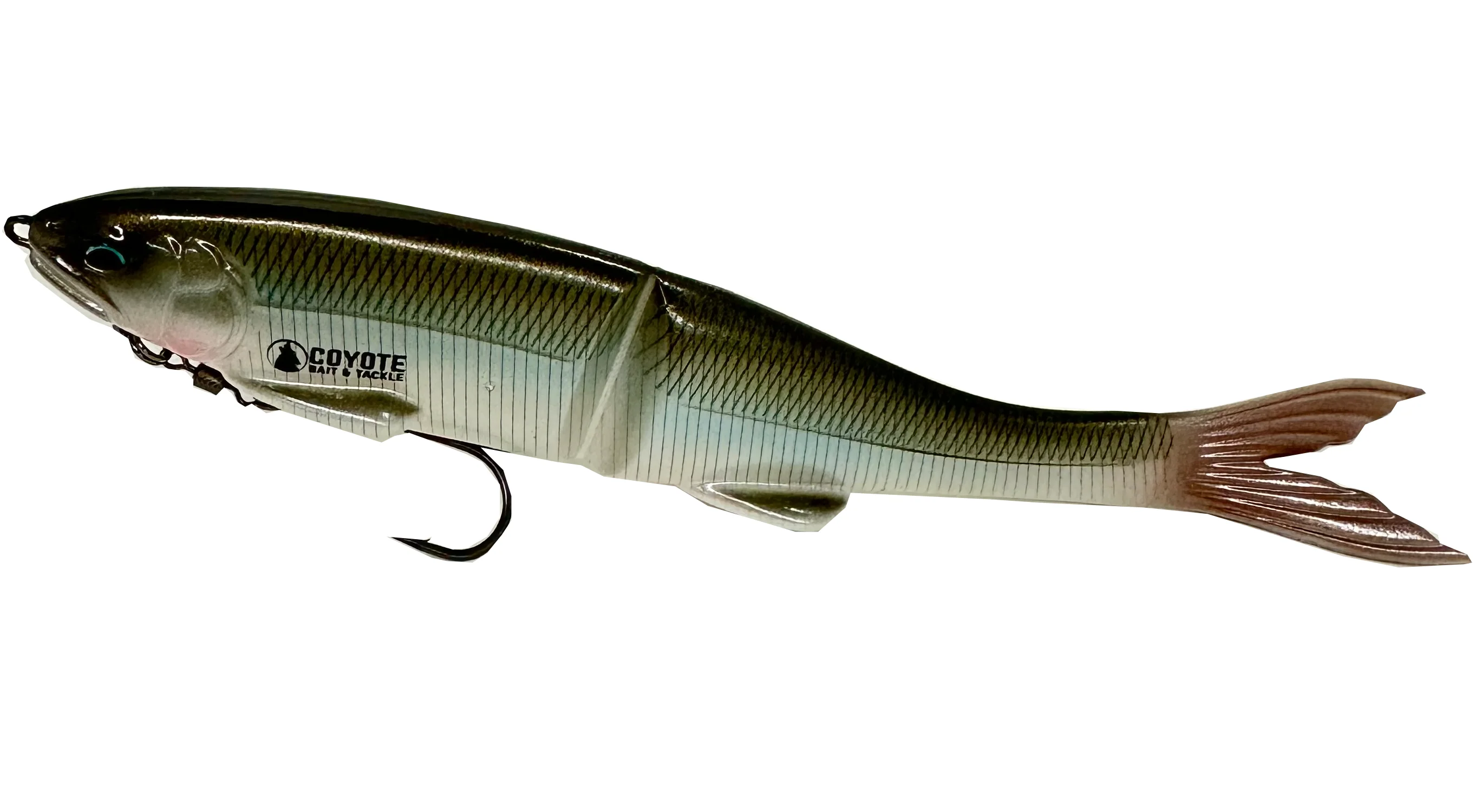 FLAG255 #201 RE RAINBOW TROUT by Grow Design Works | Soft