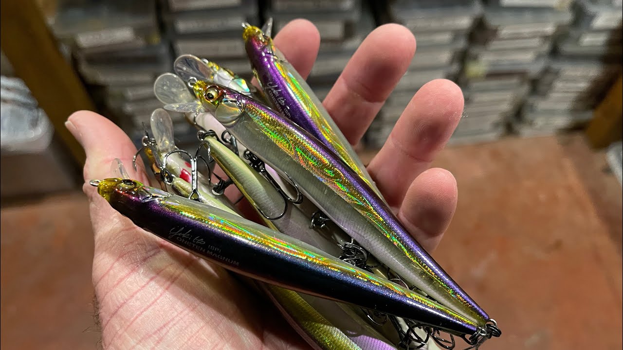 Watch Is This Expensive Giant Ladyfish Fishing Lure Worth the Money? Video  on