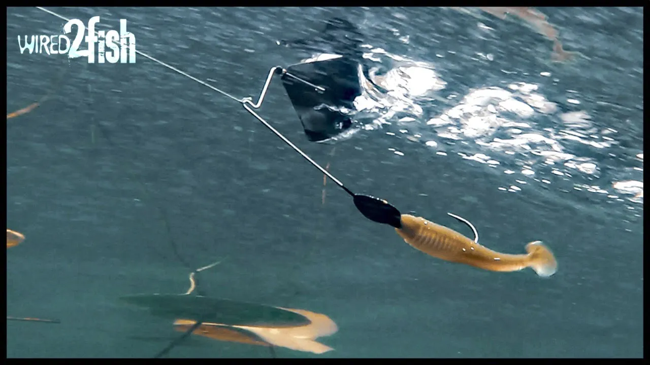 5 Buzzbait Tips to Catch Aggressive Fall Bass (VLOG)