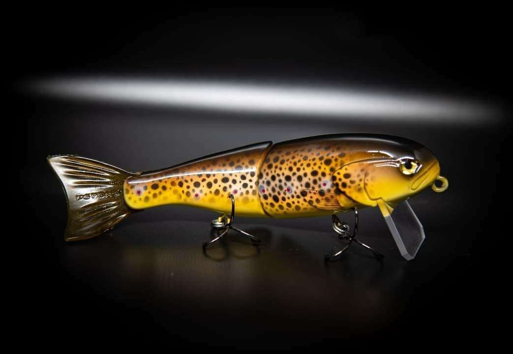 Rainbow trout psycho trout