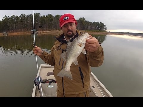 4 Prespawn Bass Fishing Tips for Lipless Crankbaits - Wired2Fish