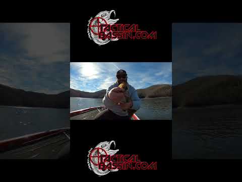 Mini-Trucha Masu “Low Float” (Kokanee) by Toxic Baits | Crankbaits