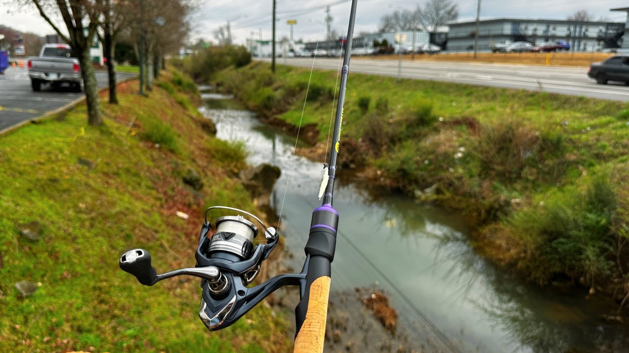 Watch Tiny Urban Creek Fishing AGAIN!! Video on