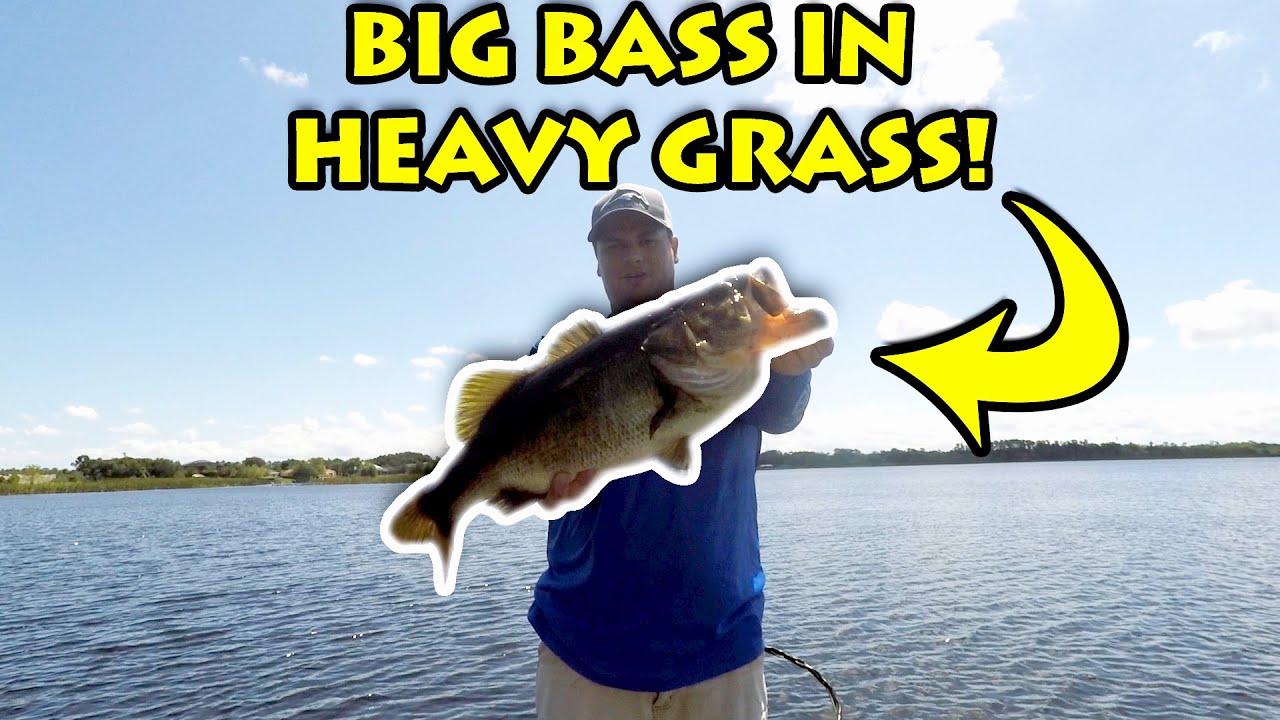 Frog Fishing Bass in Heavy Grass