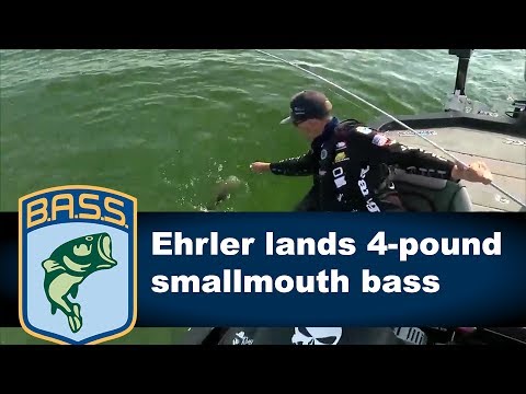 Watch Brent Ehrler fills his limit at St. Lawrence Video on
