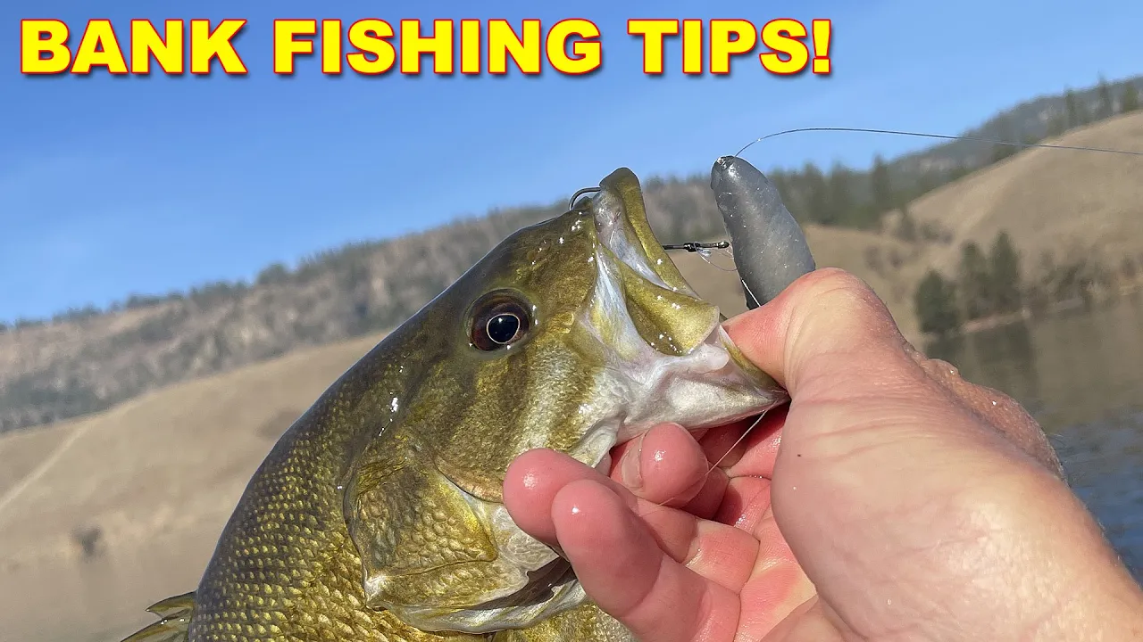 Watch Critical Bank Fishing Tips  Bass Fishing Video on