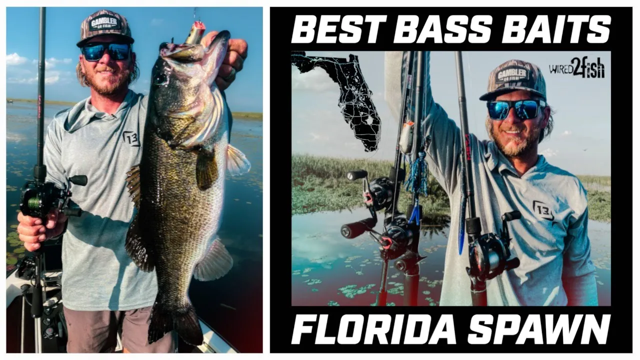 Search Florida%20bass Fishing Videos on
