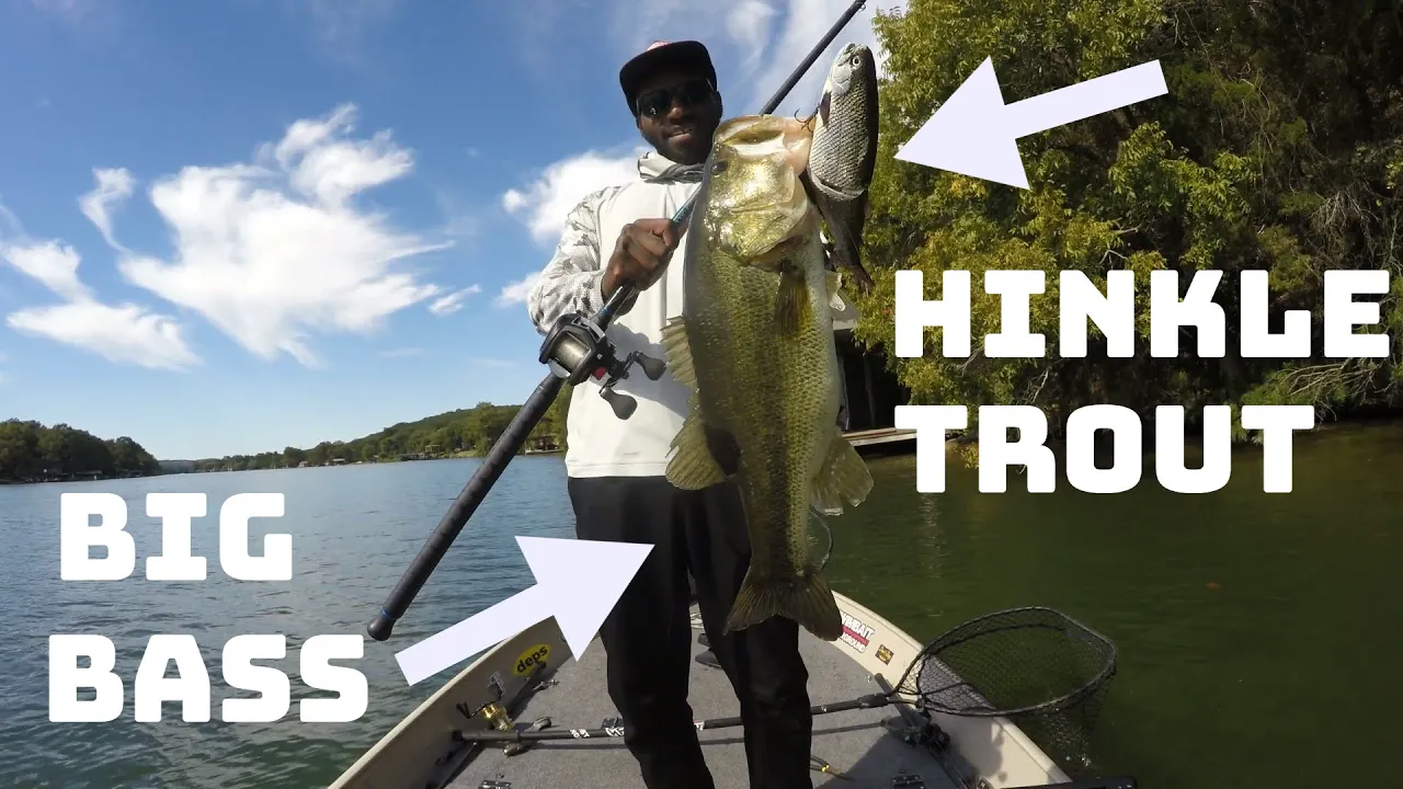 Watch Texas Bass Love Eating Big Glide Baits! Fishing Big Swimbaits In  Texas! Video on