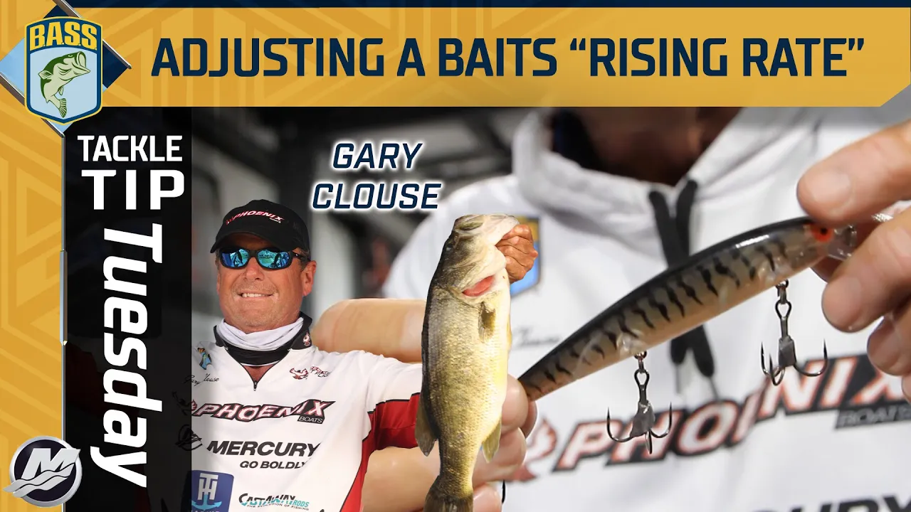 Watch Underwater Bed Fishing for Bass! Watch How They React! (TIPS AND  TRICKS) Video on