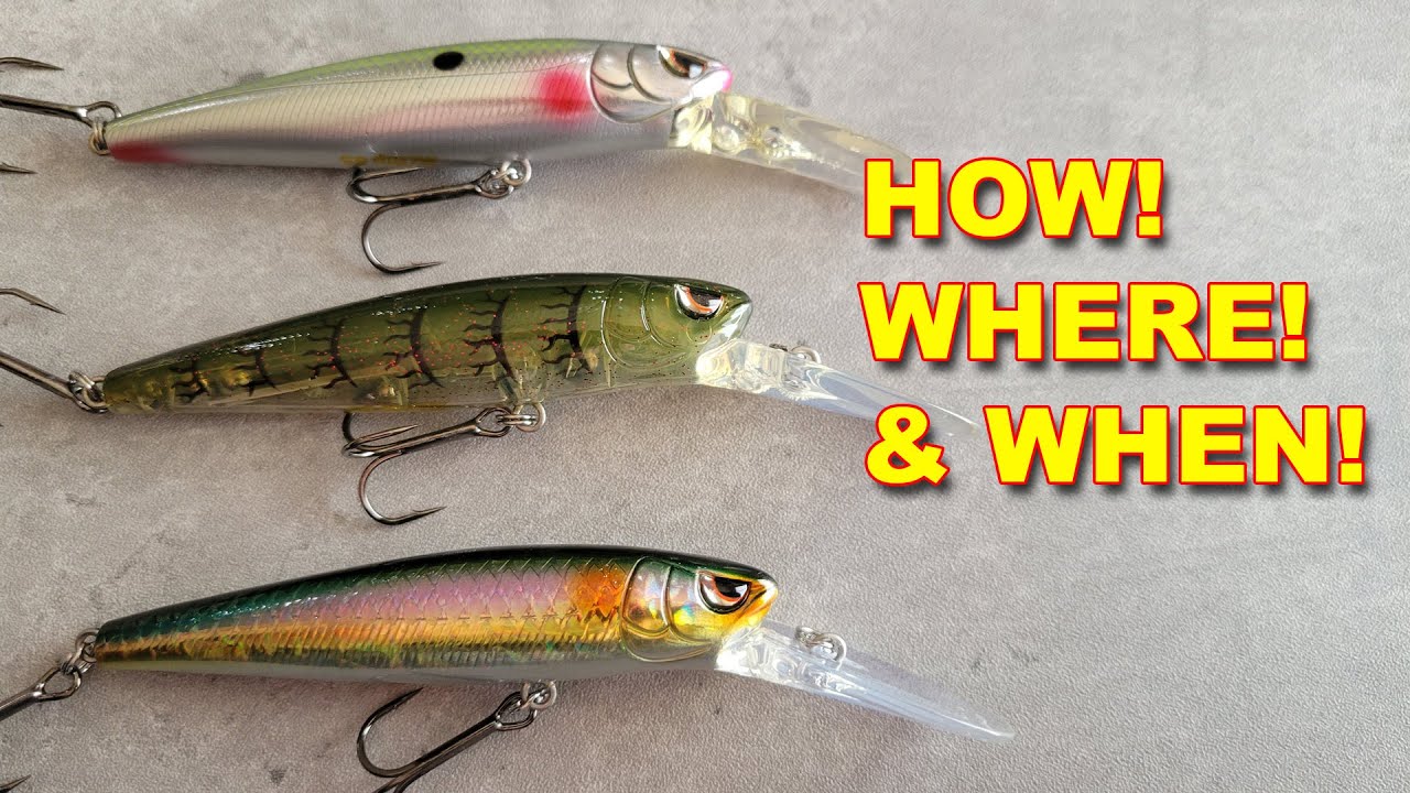 4 Best Worms For Summer Fishing