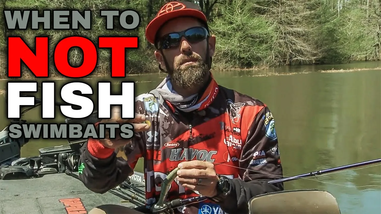 Has Livescope Ruined Swimbait Fishing And Made It Too Easy? 
