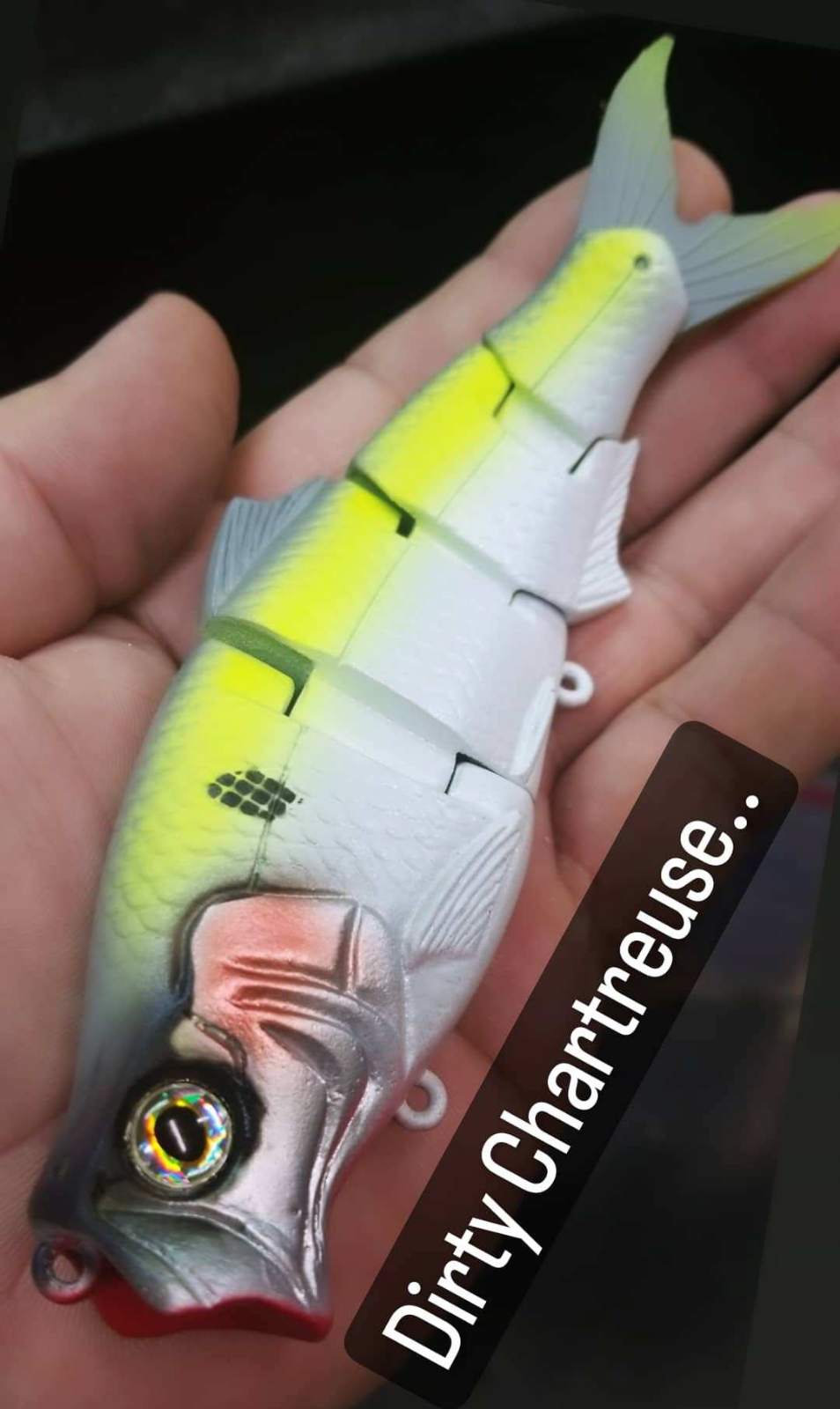 6'' Freestyle Shad